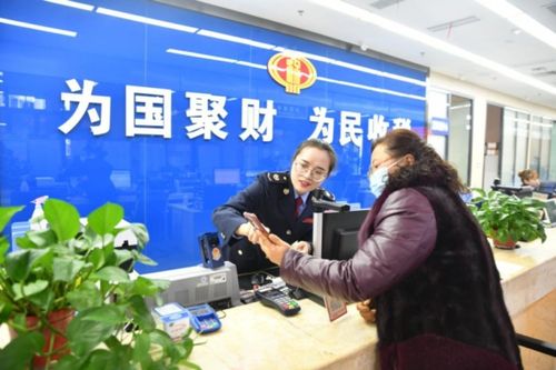 税务局：春风传递“税费” 惠民服务“暖心”-马鞍山税务局(图1)